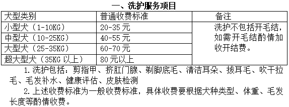 洗护服务项目